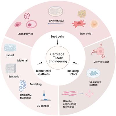 The application and progress of tissue engineering and biomaterial scaffolds for total auricular reconstruction in microtia